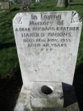image of grave number 382063
